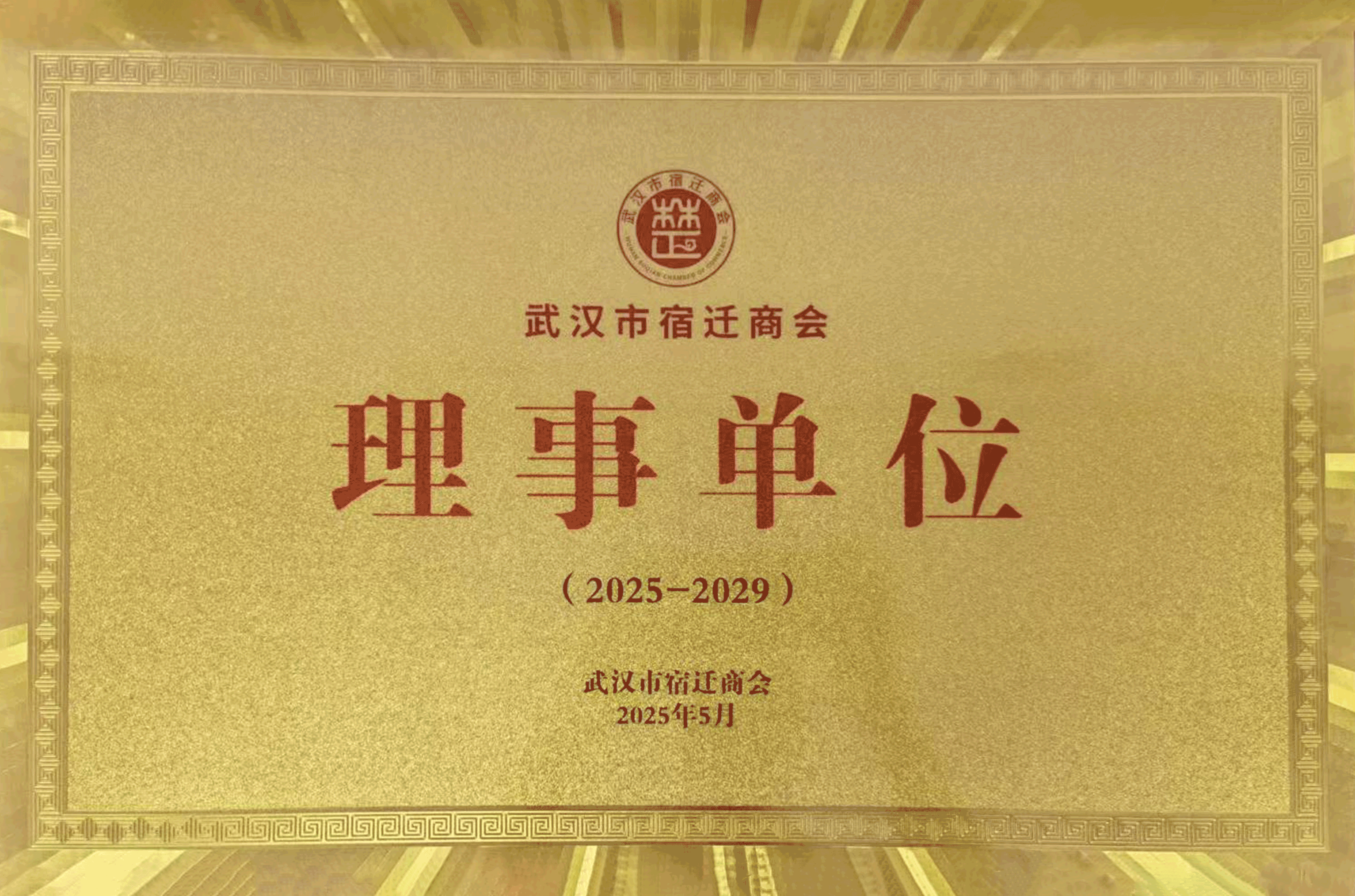 凌云光电任武汉市宿迁商会理事单位