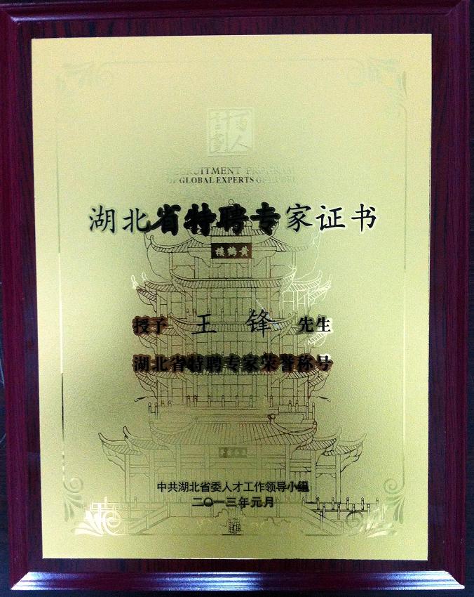 公司CEO王锋荣获“湖北省特聘专家”称号