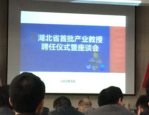 热烈祝贺我司CEO王锋被聘为首批“湖北产业教授”